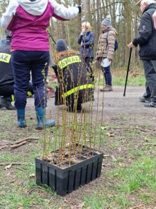 25. Lasy Pełne Energii Rybnik - galeria
