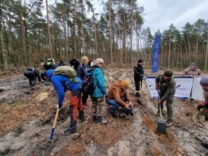25. Lasy Pełne Energii Rybnik - galeria