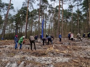 25. Lasy Pełne Energii Rybnik - galeria