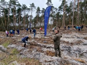 25. Lasy Pełne Energii Rybnik - galeria